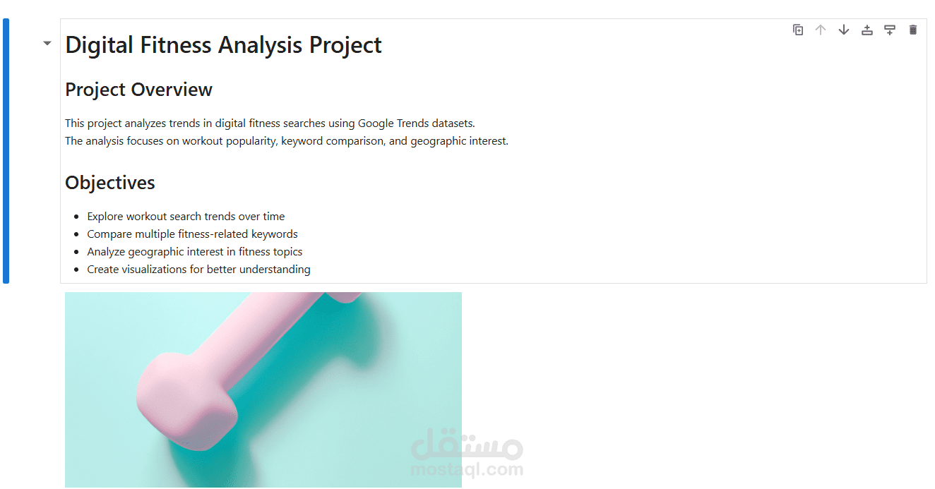 Digital Fitness Analysis Project
