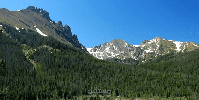 cover_type forest classifier