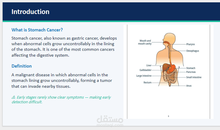 تصميم عرض تقديمي طبي احترافي عن سرطان المعدة (Stomach Cancer) يوضح الأعراض والتشخيص وطرق العلاج