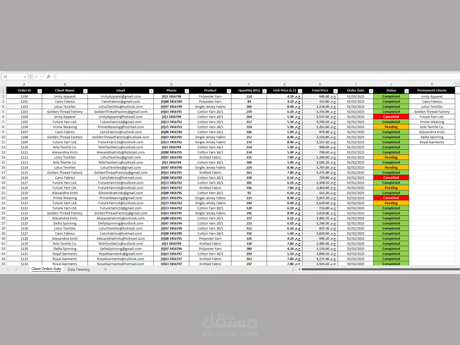 Excel Entry + Cleaning + Validation