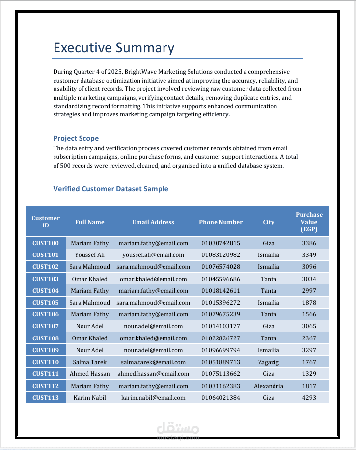 Customer Database Data Entry & Optimization