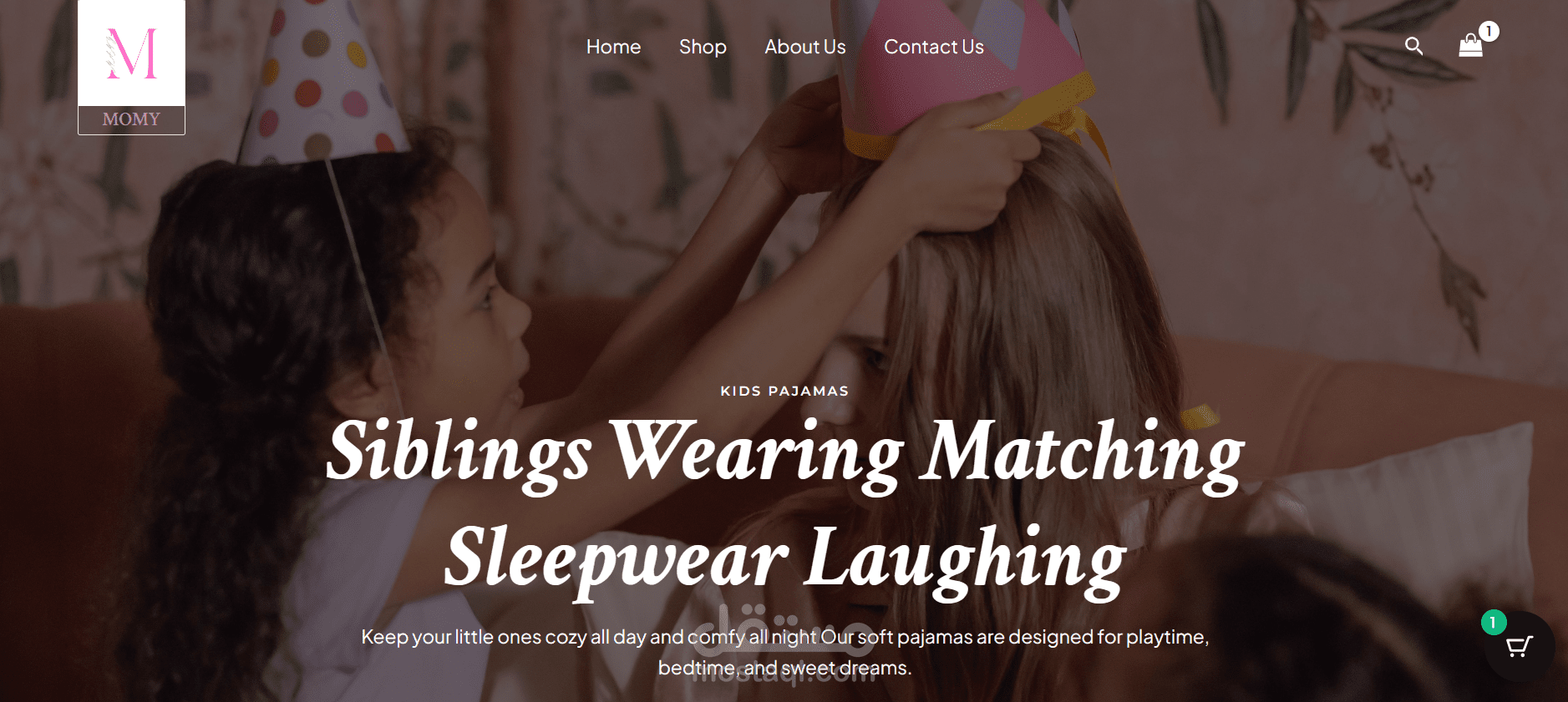 تصميم مواقع احترافية باستخدام WordPress