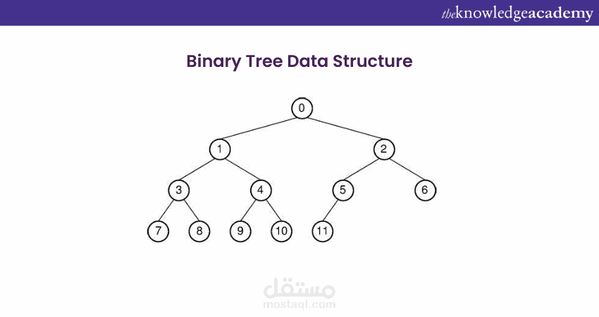Binary Tree