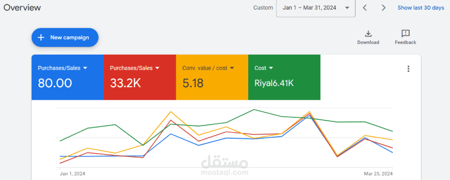 دراسة حالة لإعلانات جوجل (الربع الأول من 2024) - متجر إلكتروني في المملكة العربية السعودية