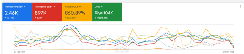 دراسة حالة لإعلانات جوجل - متجر إلكتروني لمستلزمات الحيوانات الأليفة في المملكة العربية السعودية