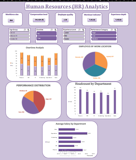 Human Resources (HR) Analytics