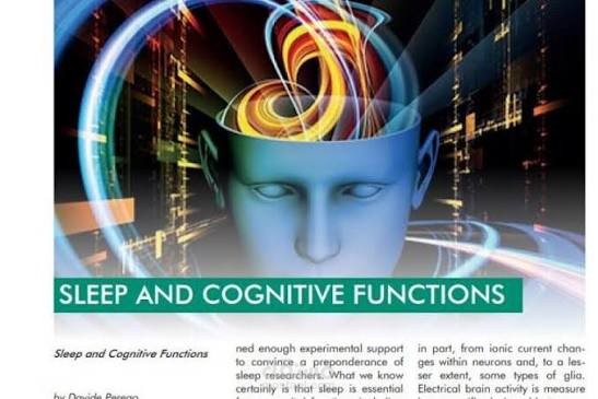 The Importance of Sleep for Cognitive Function