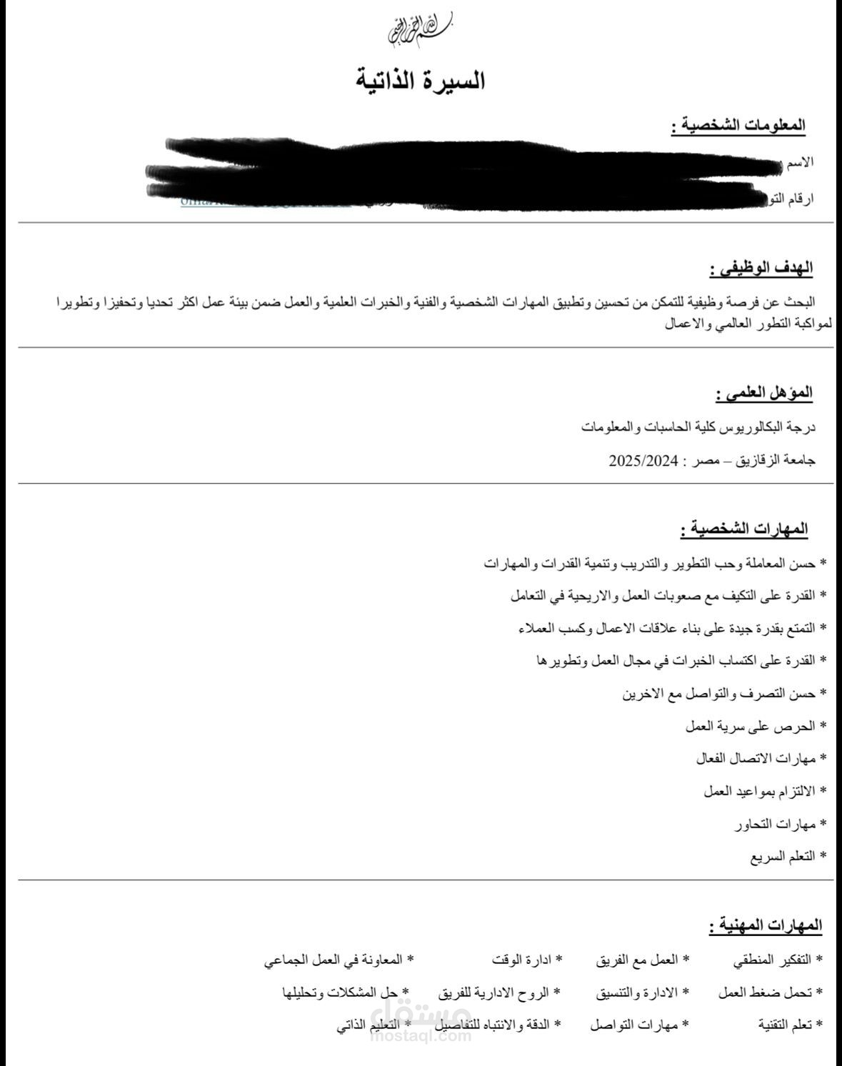 السيرة الذاتية الرسمية بصورة مبسطة
