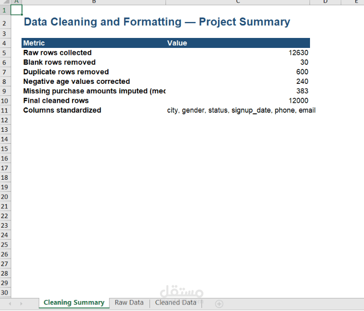 Data Cleaning and Formatting using Microsoft Excel