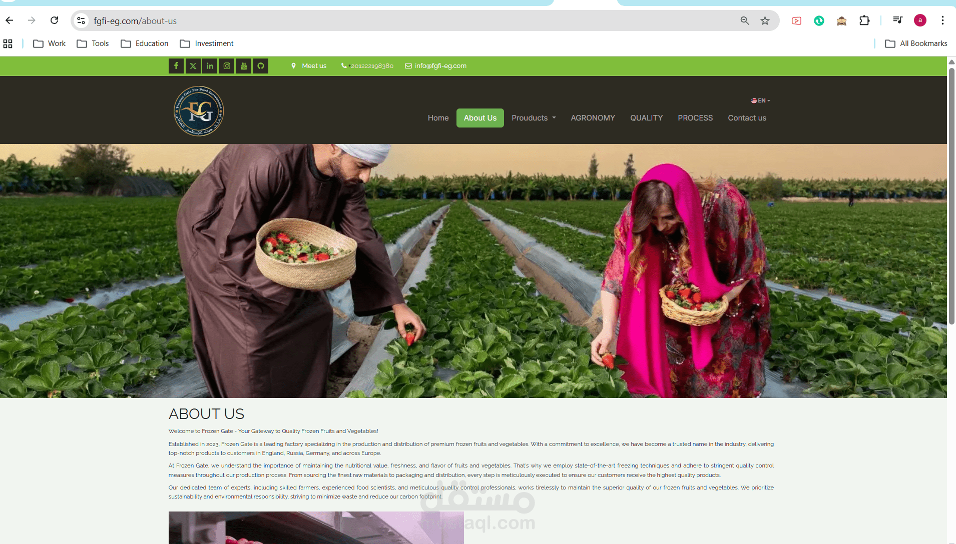 مشروع تنفيذ odoo erp لشركة تصدير فاكهه وخضروات مجمده