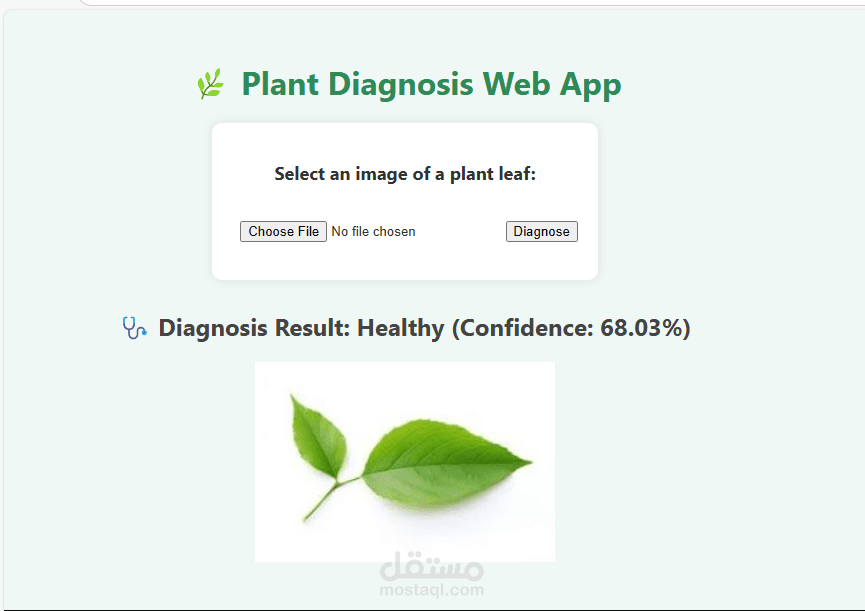 تطبيق تشخيص النباتات