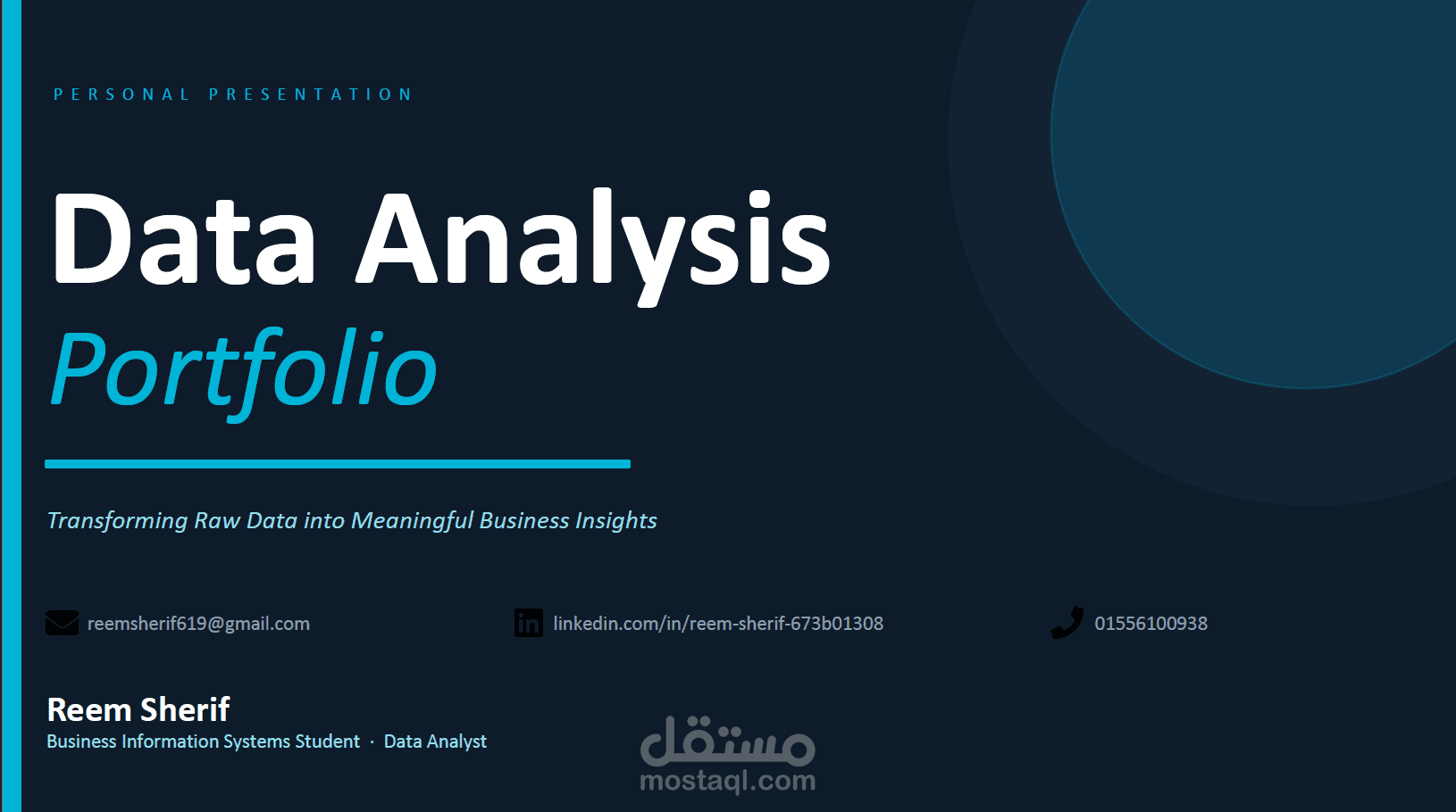 Professional Data Analytics & Web Development Portfolio