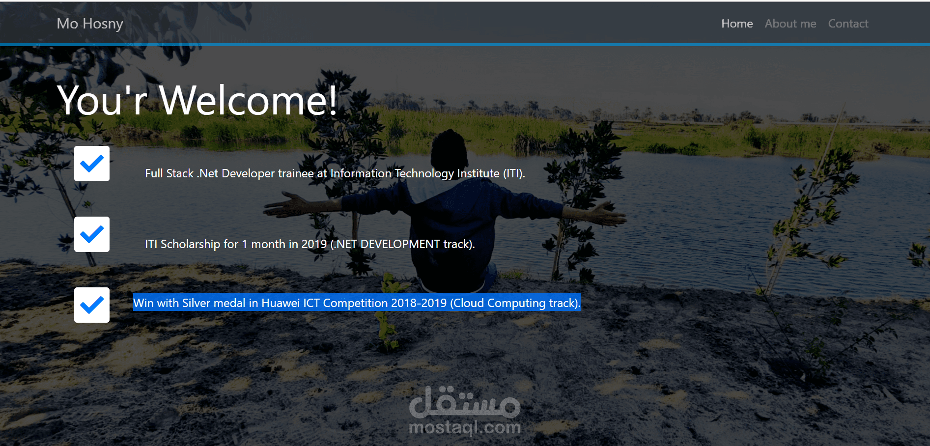 صفحة استعراضية شخصى (portfolio)