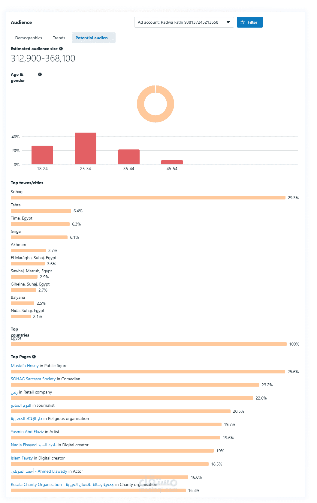 إدارة وتطوير القنوات الرقمية باستخدام Meta Business Suite.