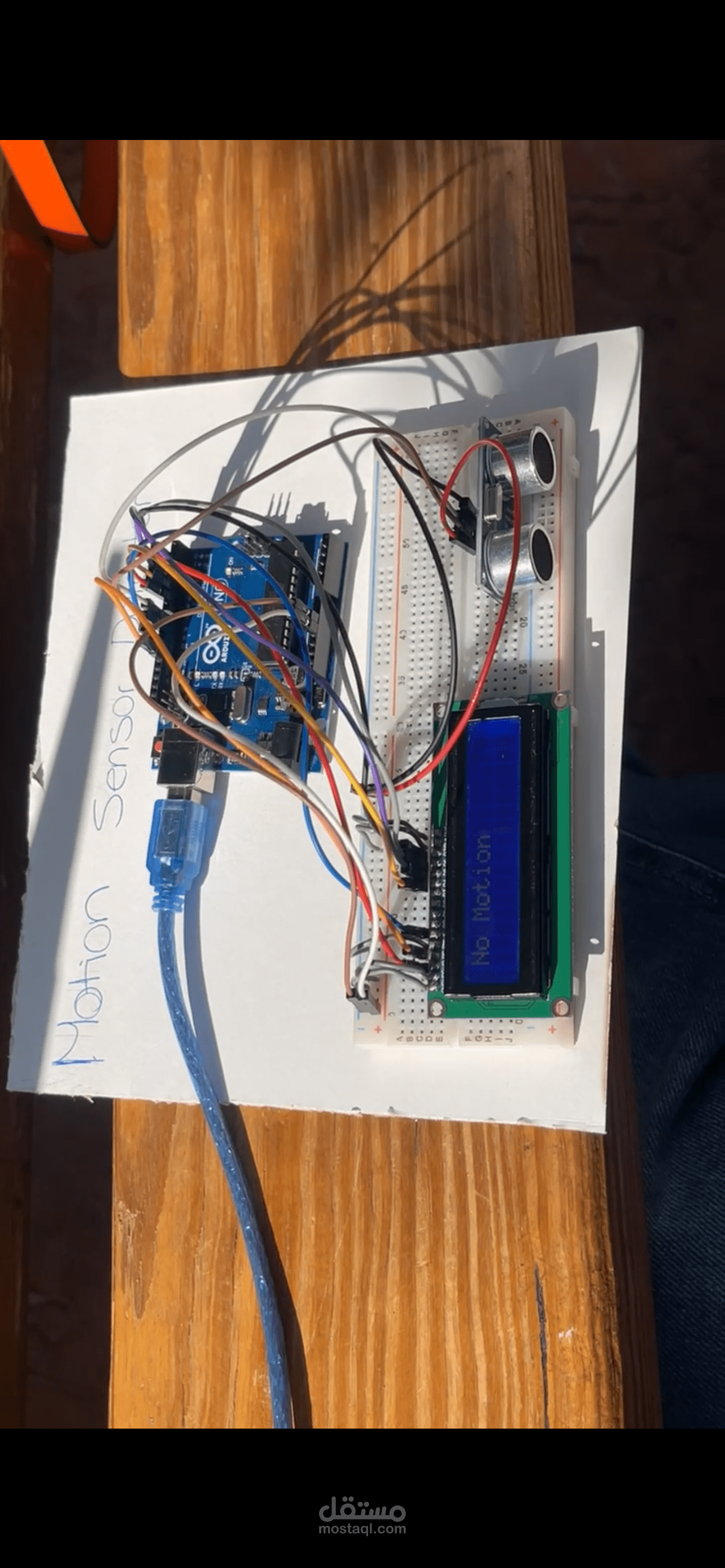Motion sensor detector