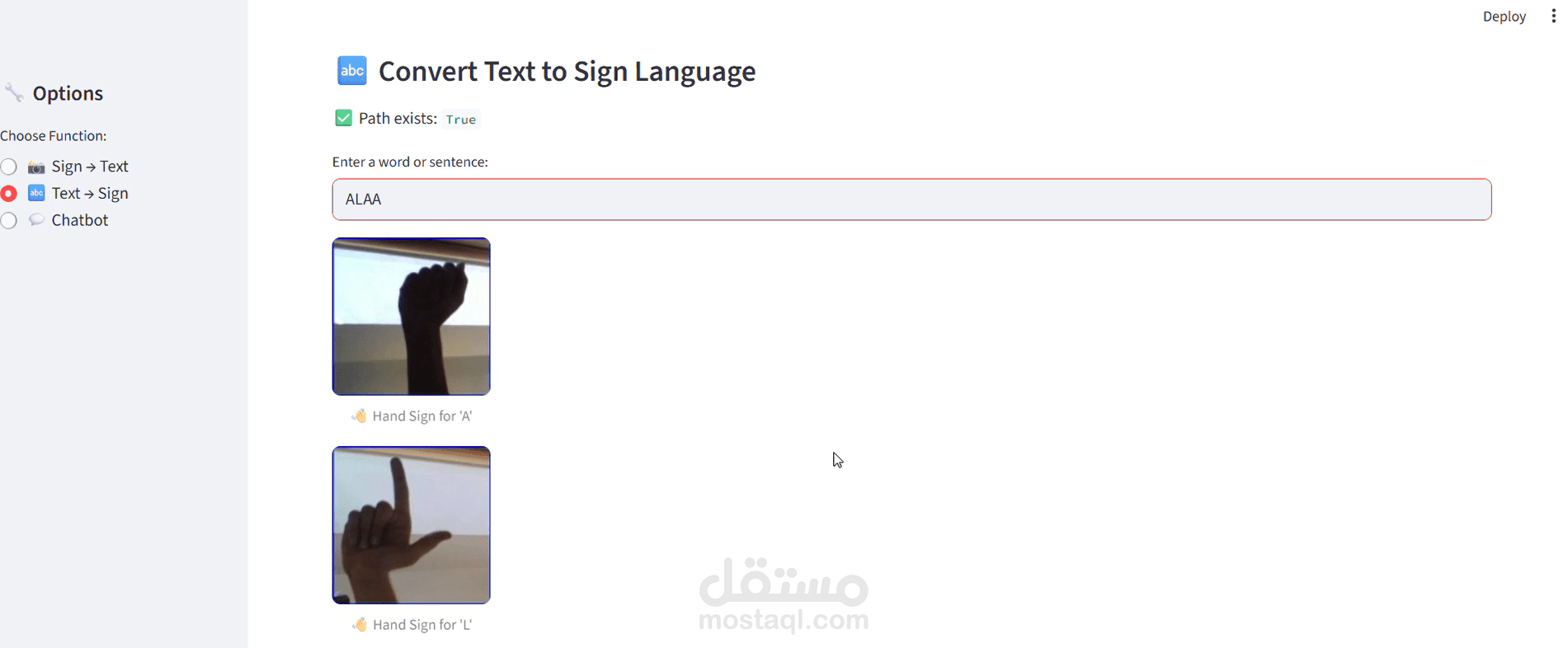 sign language translator