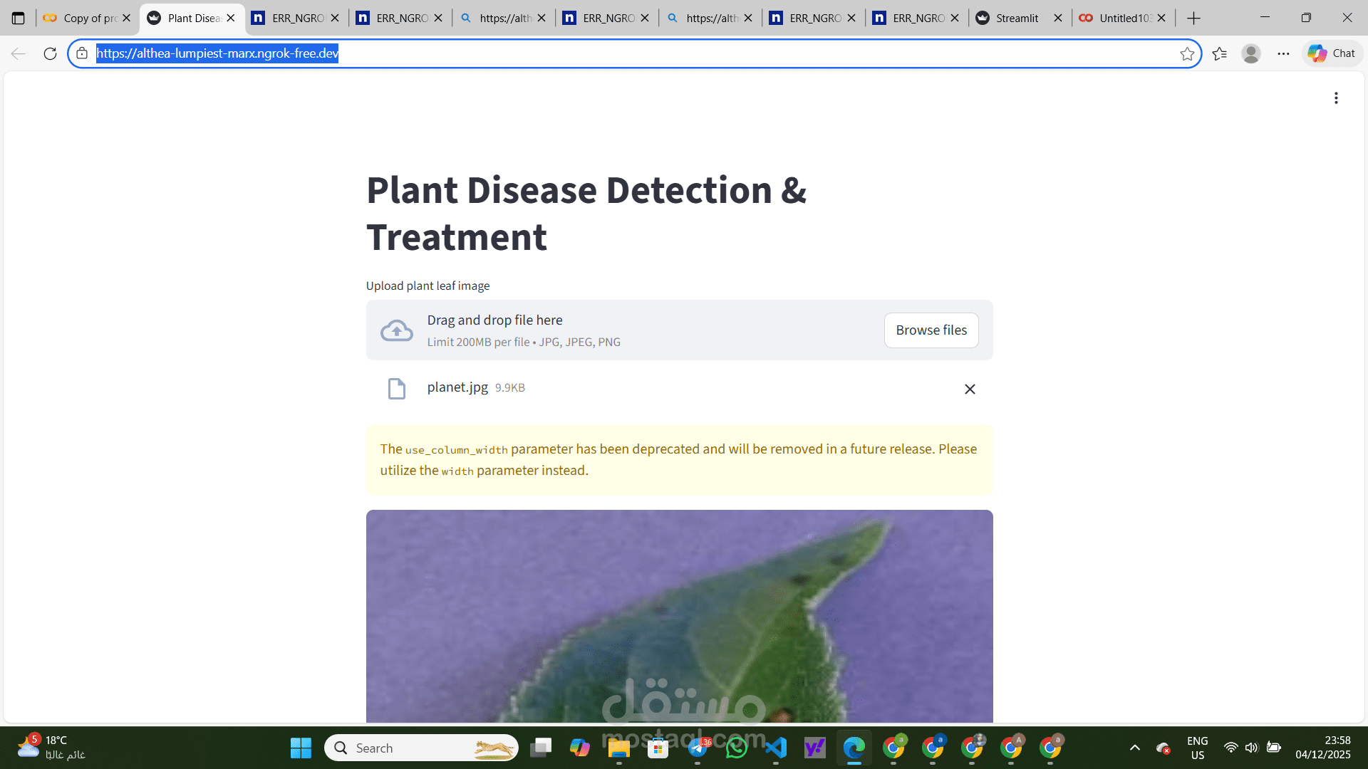Plant disease detection &treatment