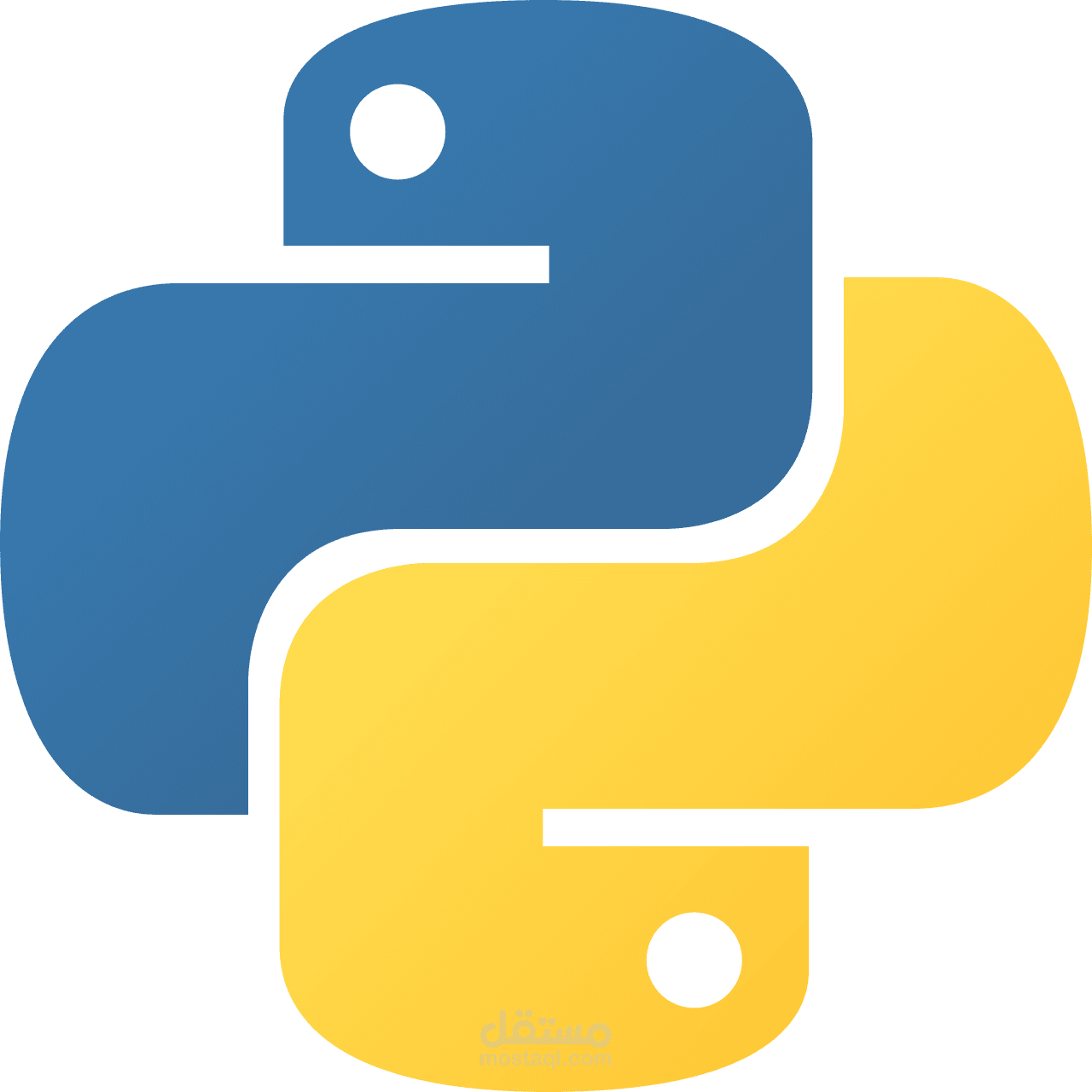مشاريع عملية في حل مشكلات Python
