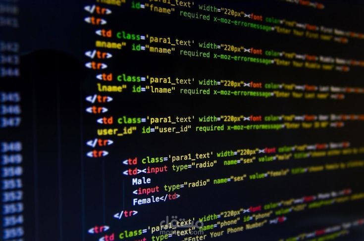 مجموعة مشاريع برمجية متكاملة (Python, Java, C++, JavaScript).