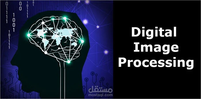 معالجة الصور الرقمي تطبيق الفلاتر والتحويلات لتحسين الصور وتحليلها