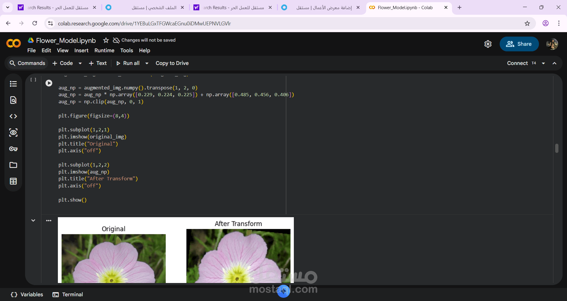 AI & Machine Learning Developer