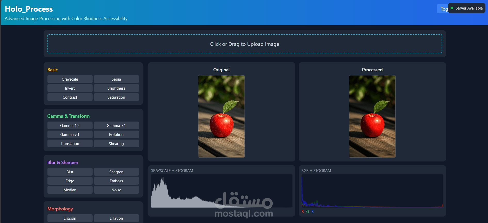 Holo_Process - Advanced Image Processing with Color Blindness Accessibility