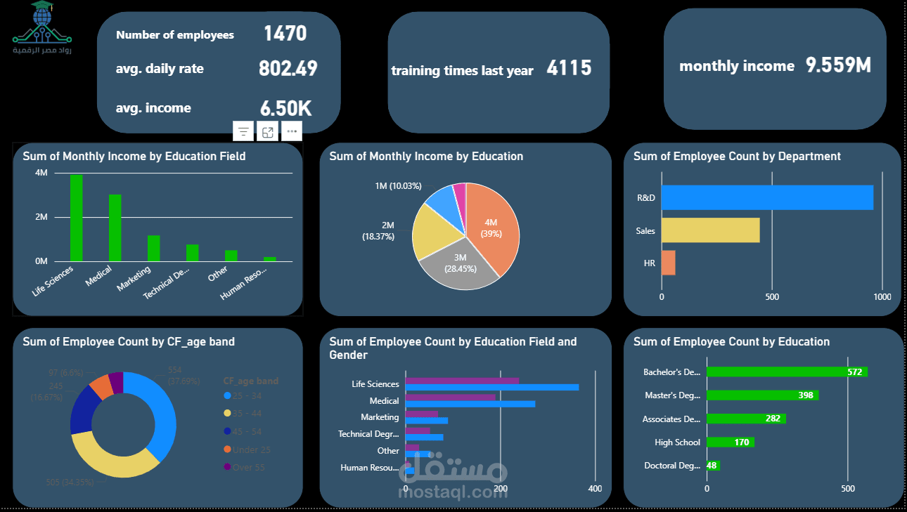 لوحة بيانات تحليل الدخل وتكلفة الموارد البشرية (HR Income & Workforce Analytics)