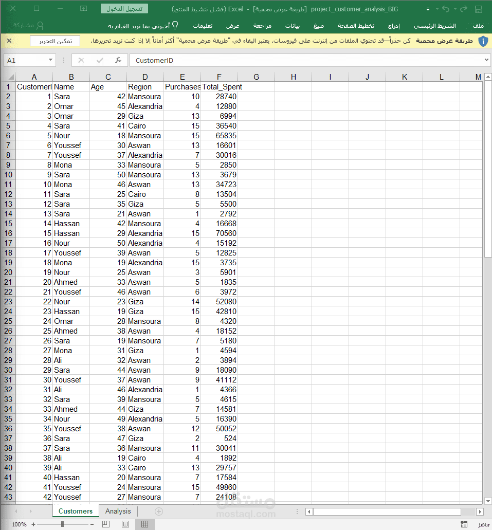 project_customer_analysis_BIG
