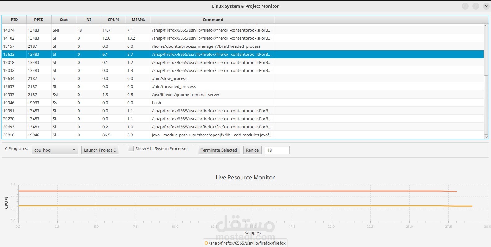 Linux Process Manager & Monitoring System