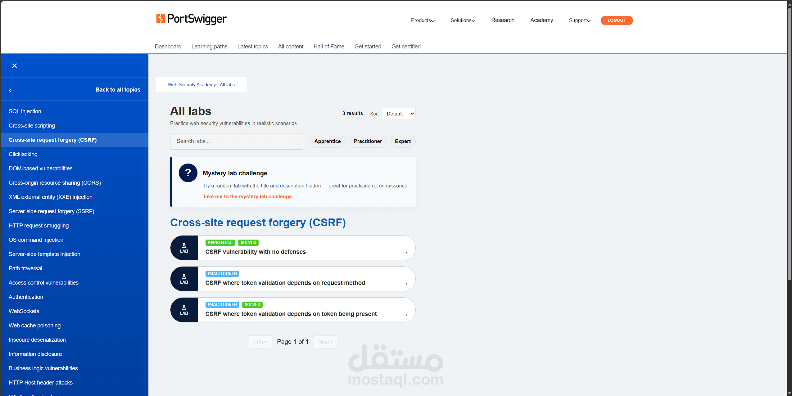 portswigger identical website