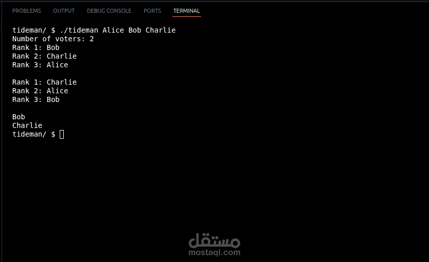 تطوير خوارزمية تصويت متقدمة باستخدام Graph Representation بلغة C