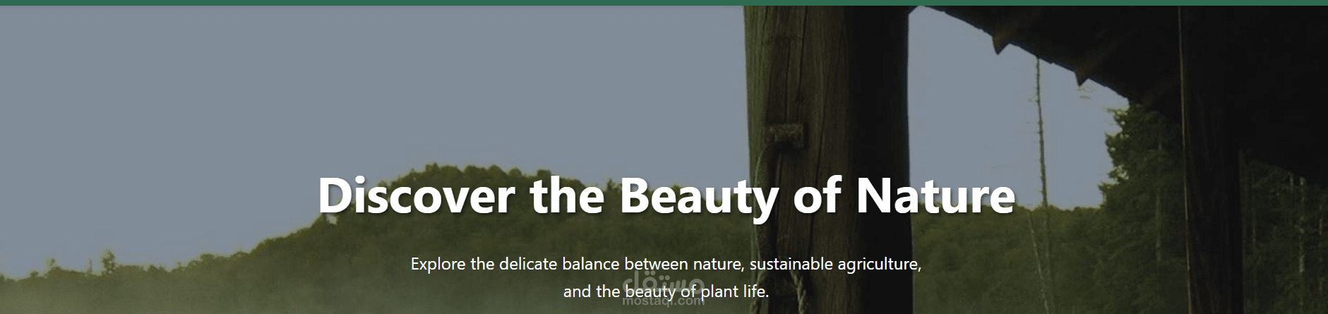 Discover the Beauty of Nature