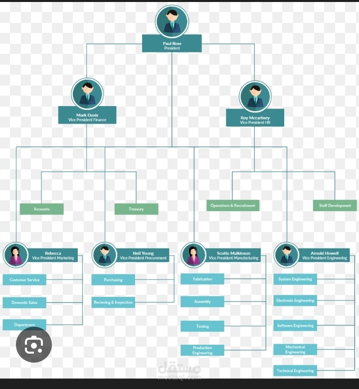 Organization Structure