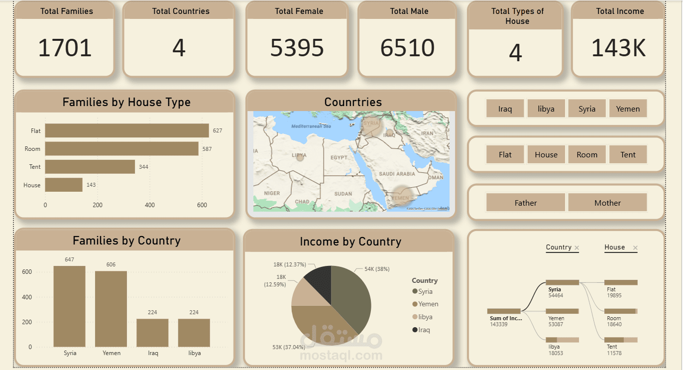 لوحة معلومات تحليل الاحتياجات والبيانات الديموغرافية | Power BI