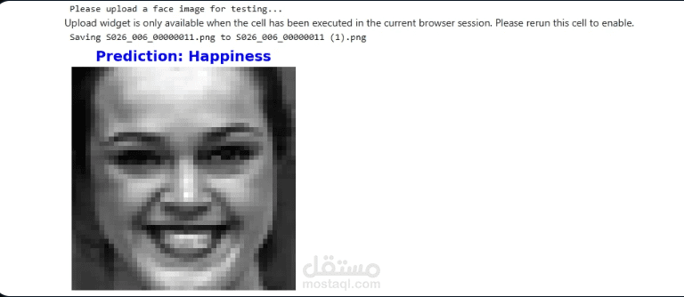 Facial Expression Recognition