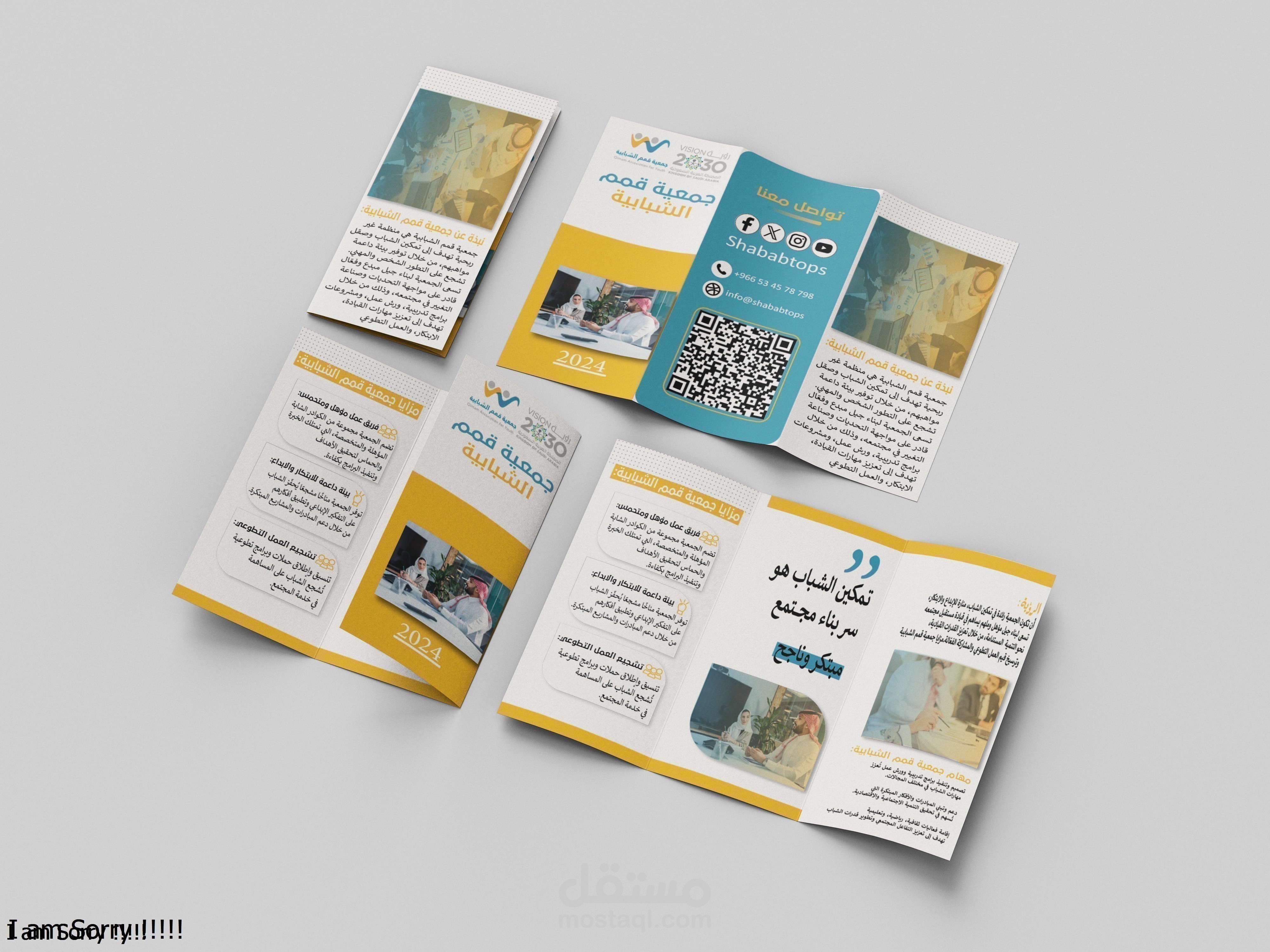 Youth Summits Association Brochure