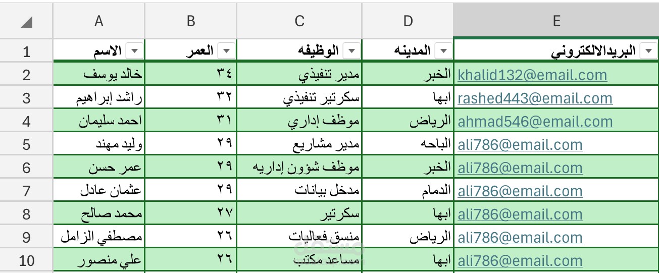 إدخال وتنظيم بيانات موظفين في ملف Excel