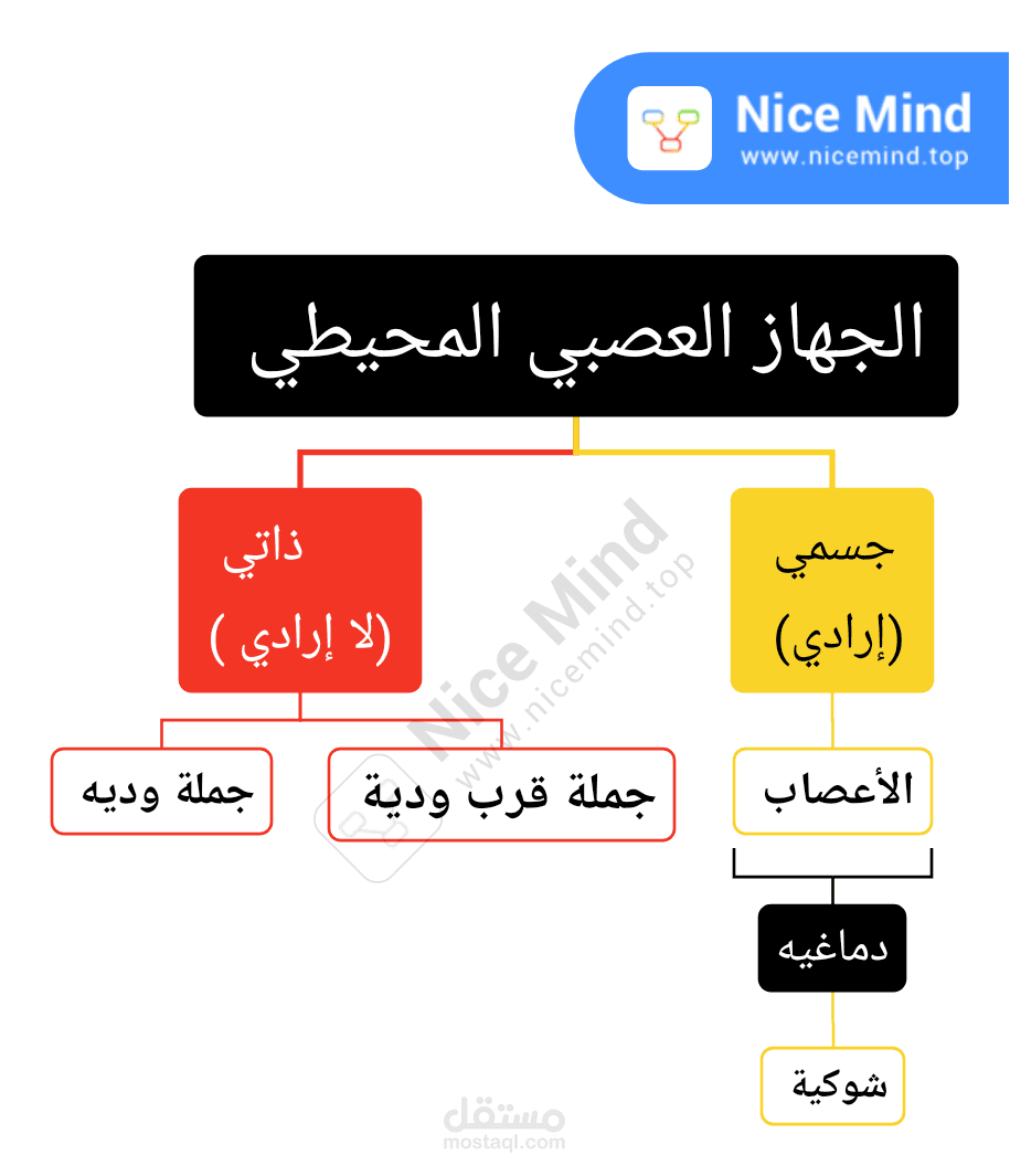 خارطه مفاهيم للجهاز العصبي المحيطي