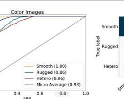 العنوان: نظام تصنيف آلي للصور باستخدام الشبكات العصبية العميقة (CNN).