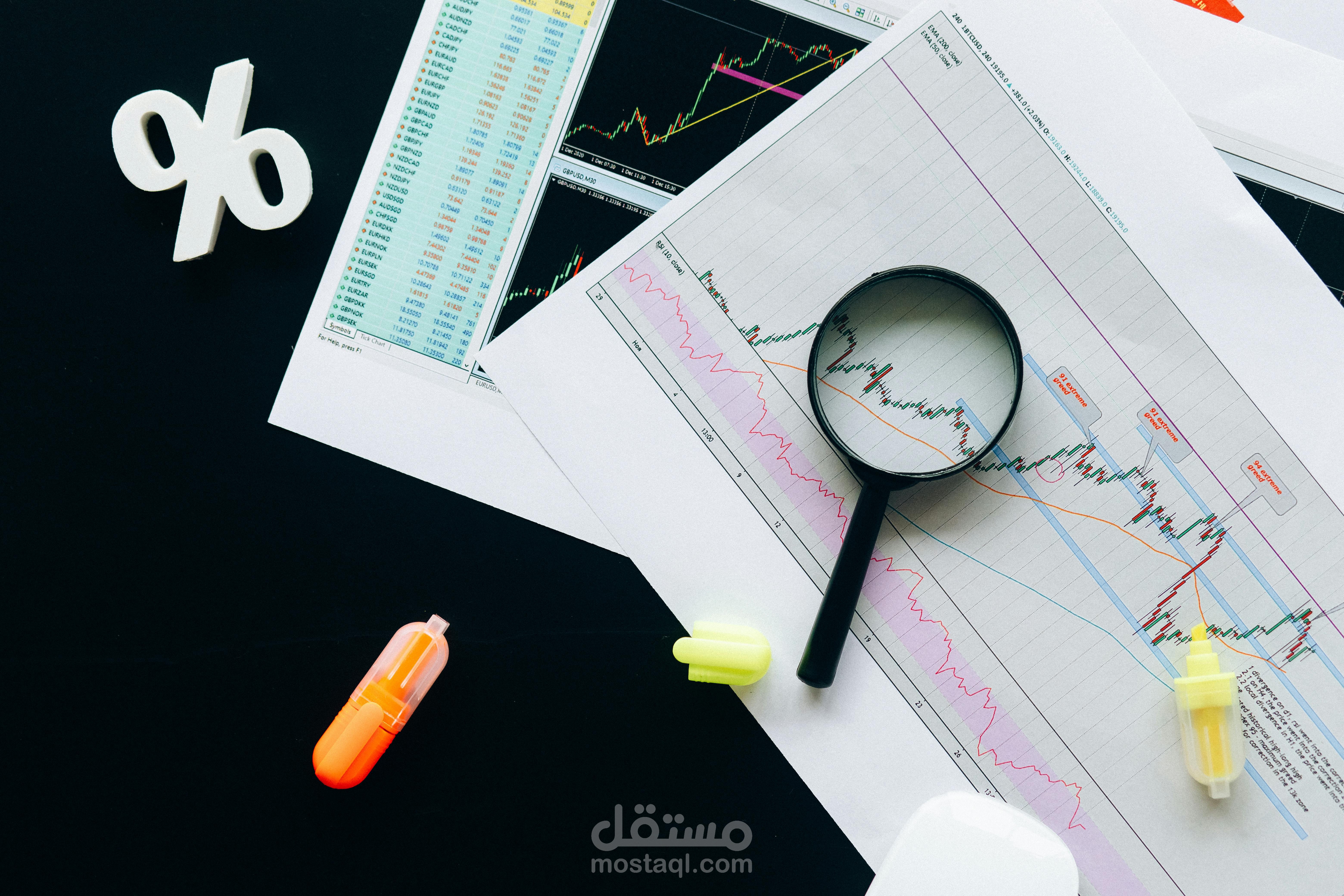 إدخال بيانات وتنظيم سجلات محاسبية بدقة واحترافية على Excel