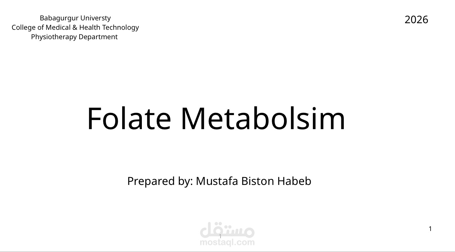 Folate Metabolsim