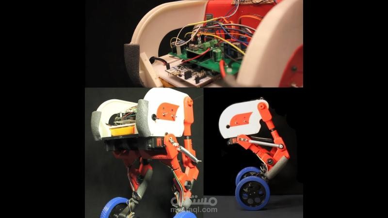 Flex  : The Wheeled Bipedal Self Balancing Robot