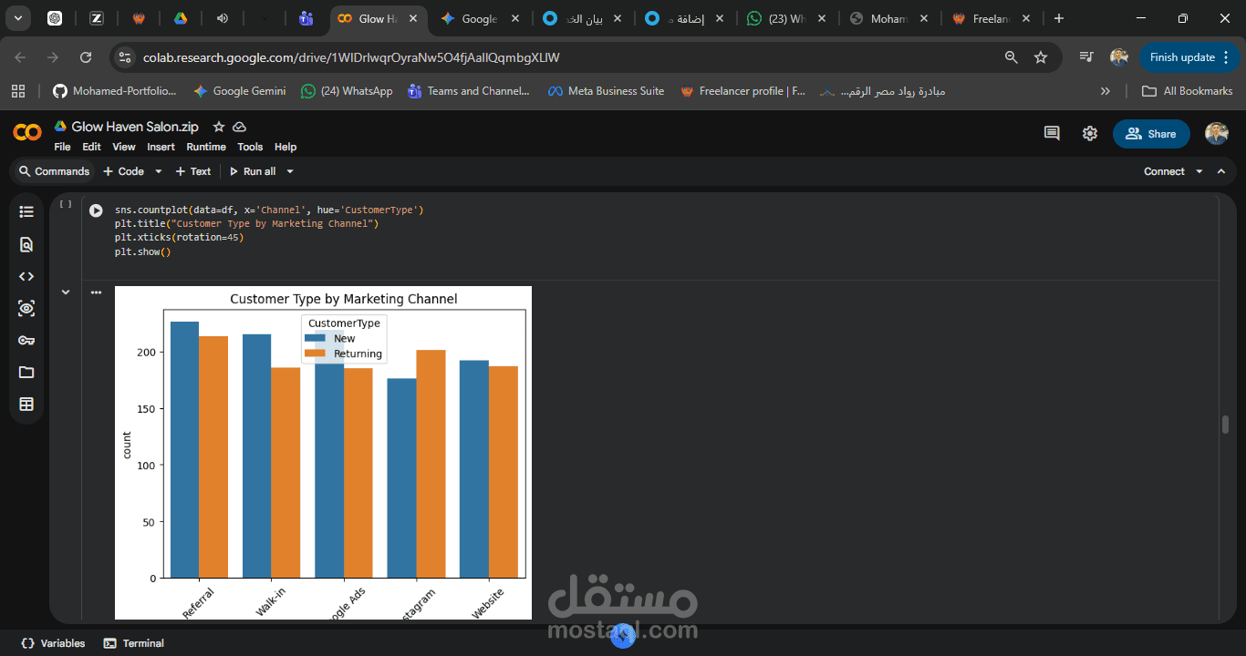 تحليل وتصور بيانات العملاء (Customer Insights Visualization)