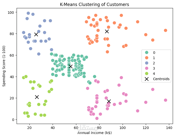 تقسيم العملاء
