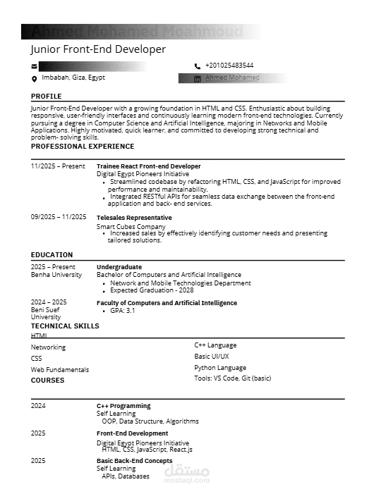 تصميم سيرة ذاتيه محترفه