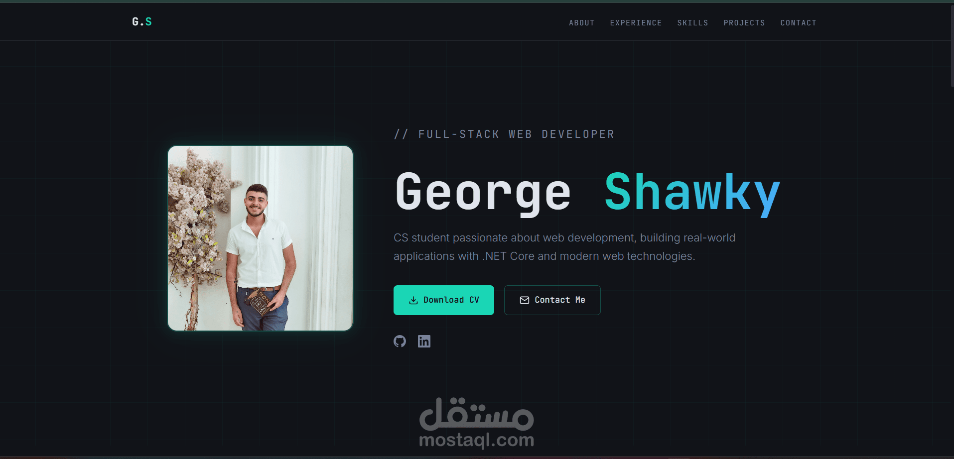 Portfolio احترافي