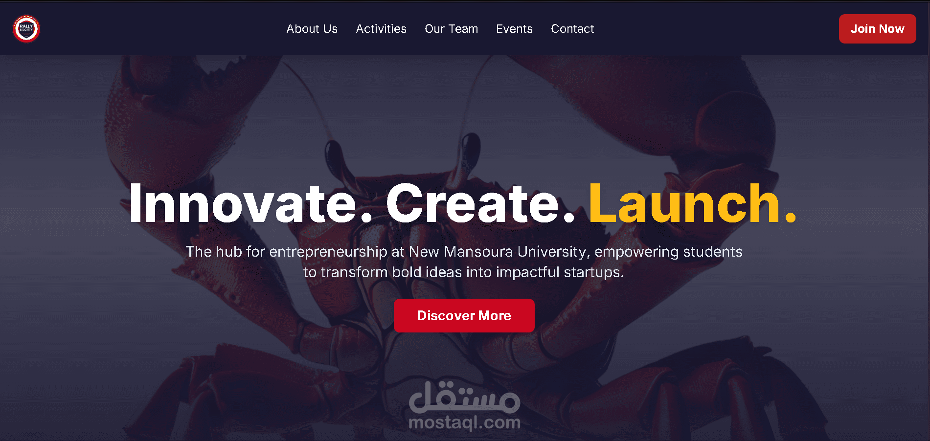 Rally Society NMU – الموقع الرسمي رالي ريادة الأعمال
