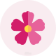 تطيبق Flower E-commerce