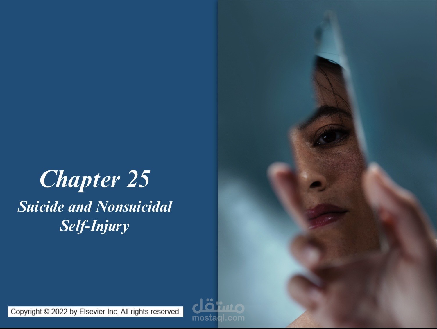 ملفات دراسيه للطلبه