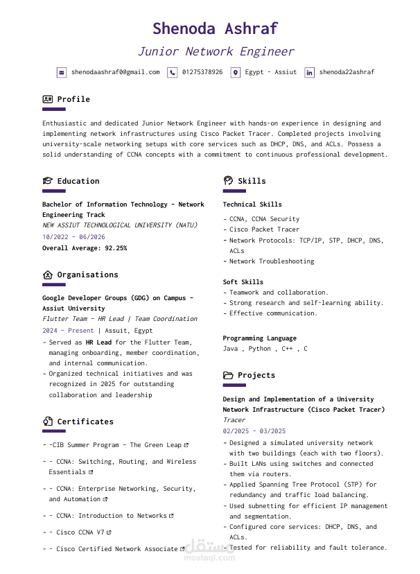 تصميم CV احترافي عصري